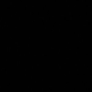 Meet your Posher, Maritza